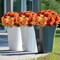 12 Pcs Artificial Fall Flowers, Faux Silk Chrysanthemum Mums Bouquet in Burnt Orange, Red and Yellow for Vase Arrangements, Autumn Wedding, Thanksgiving, Home and Table Centerpiece Decor